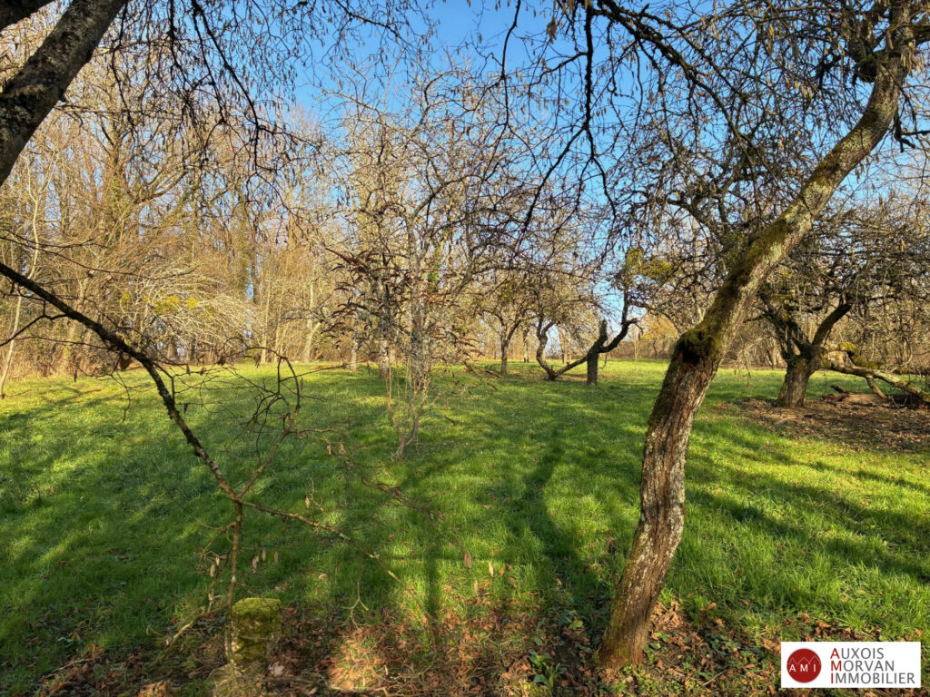 Photo descriptif pour le bien : Maison ancienne